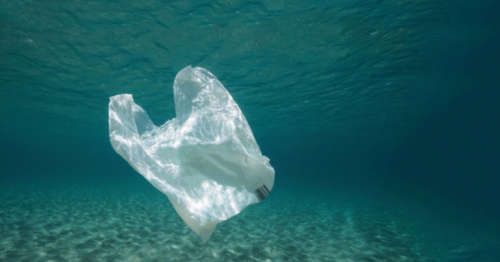 Buyback scheme, Plastic, save environment, Oman