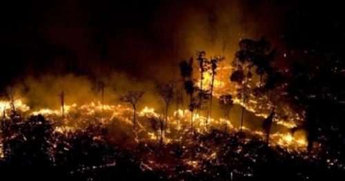 WildFire in Amazon, latest amazon fire news,  International news, Amazon wildfire