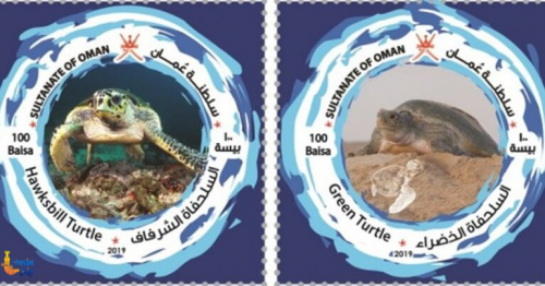 Oman Post celebrates the Sultanate’s rich biodiversity with launch of 5 turtle stamps