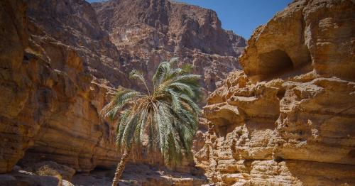 Misconceptions in the Middle East: why Oman is the ultimate Arabian adventure