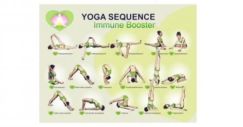 Support Your Immune System: Yoga for Wellness