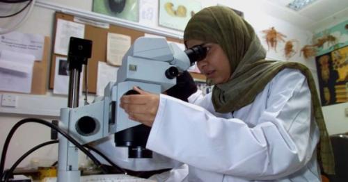 Innovation one of the main pillars of Oman 2040 Vision