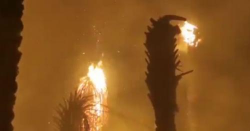 PACDA continues to deal with farm fires in Al Dhahira