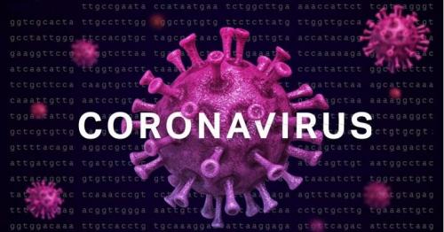 Oman confirms 404 new infections; tally at 5,029 : Coronavirus