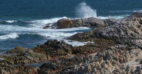 Sultanate joins world in marking Ocean Day with focus on protection action plan