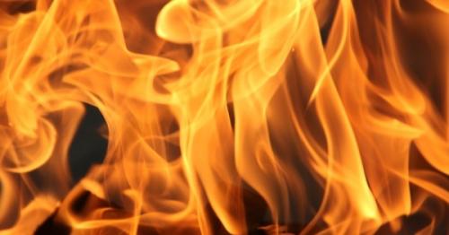 769 vehicles caught fire in Oman in 2019
