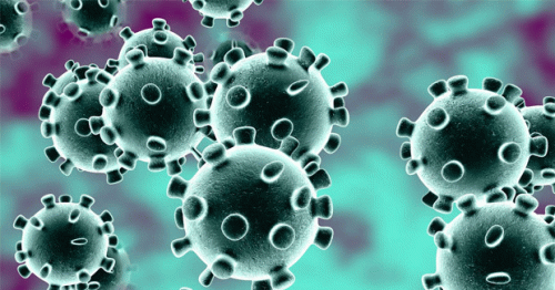 1,117 new coronavirus cases reported in Oman