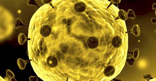Oman confirms 1210 new coronavirus cases