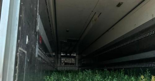 Citizen donates 3000 seedlings to National Initiative