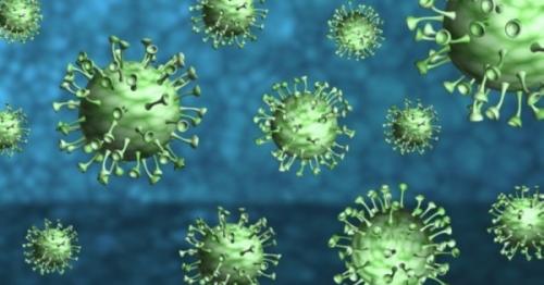 568 new coronavirus cases, 10 deaths reported in Oman
