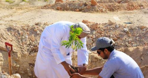 Duqm Special Economic Zone begins afforestation programme