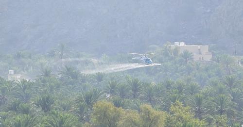 Oman aerial spraying