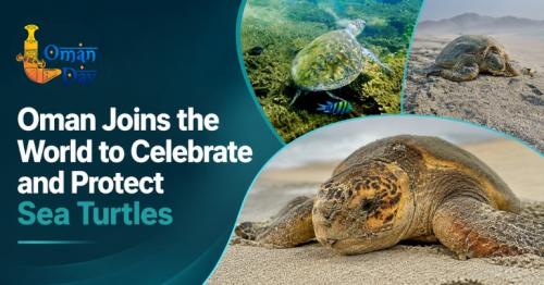 World Turtle Day 2026