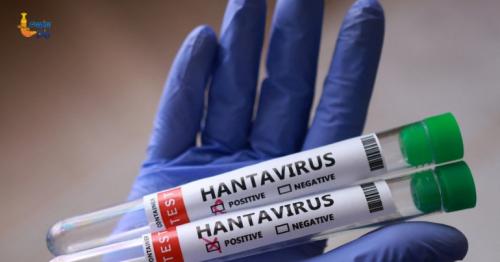 EU Hantavirus drug Favipiravir