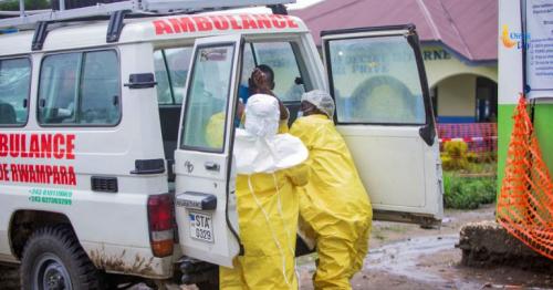 Ebola virus