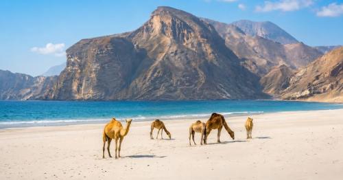 Oman travel guide