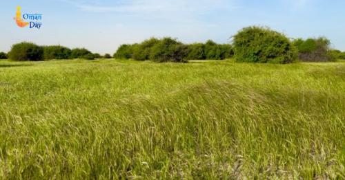 FANA environmental file
