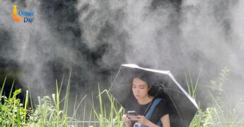 Belgium heatwave deaths