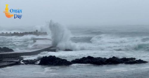 Typhoon Dolphin Japan