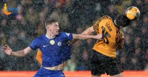 Liam Delap transfer