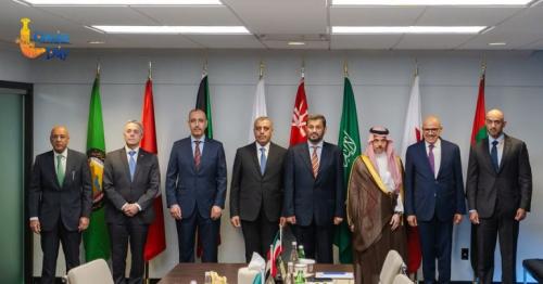 GCC Switzerland meeting