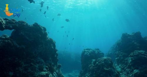 EU ocean initiative