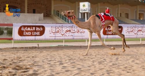Omani Camel Racing Federation