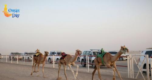  Al-Bashayer Camel Racing Track