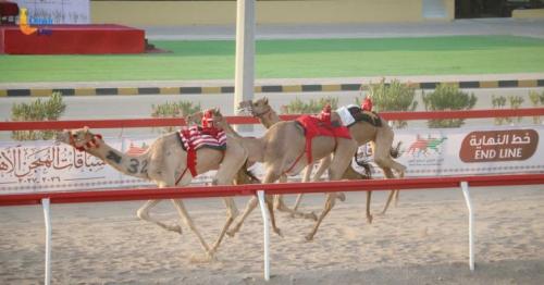 Omani Camel Racing Federation