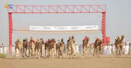 Al-Sunaynah camel race