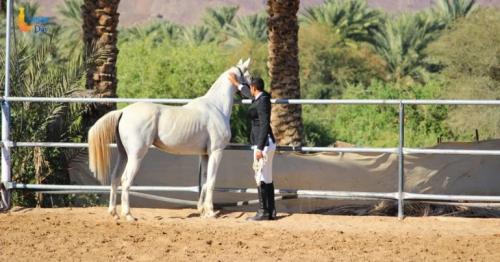 Saeed Al-Abri
