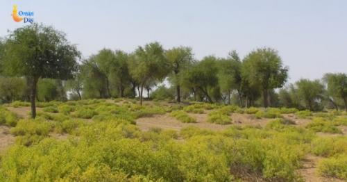 Plant Propagation Center Oman