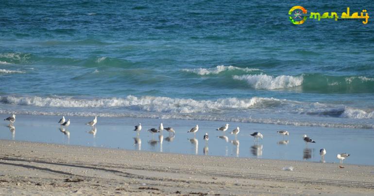 Al Mughsayl Beach