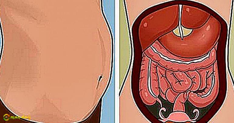 You Are Bloated. Here Are 11 Reasons And Proven Ways To Fix Them All