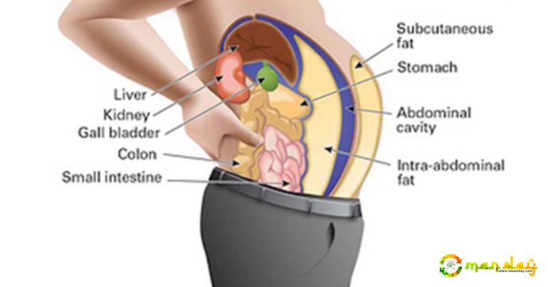 Toxins Stored in Your Fat Cells are Making You Fat and Swollen. Here’s How To Cleanse Them