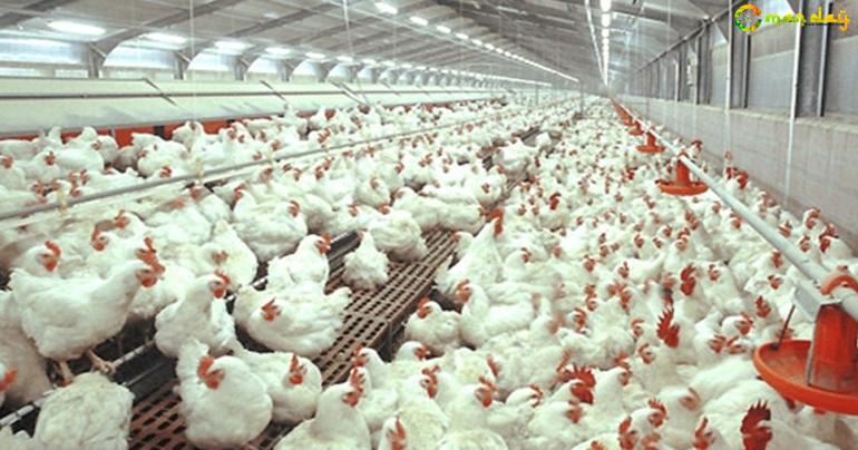 Oman’s first soybean extraction project planned at Sohar Port