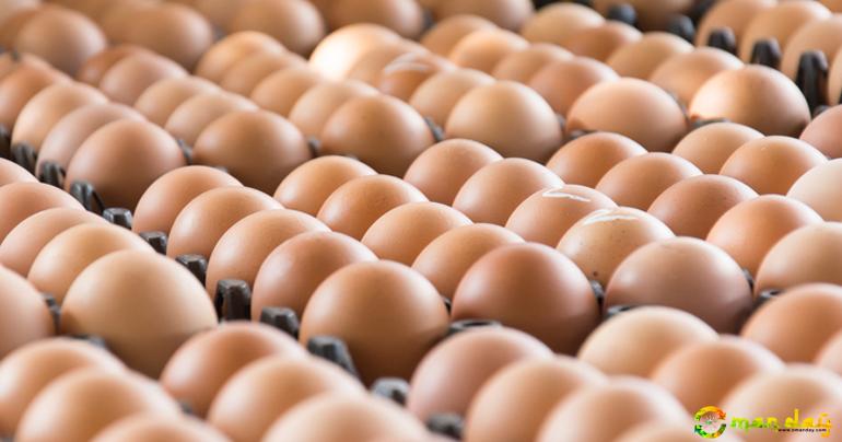 UAE bans eggs, meat products from Russia
