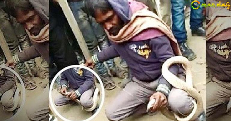 Man who stitched up cobra’s mouth gets bitten and dies; now they’re buried side by side