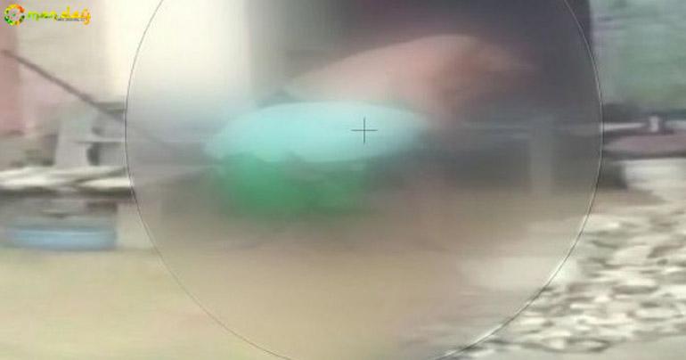 Man Chokes 82-YO Paralysed Mother To Death, Nephew Records The Gut-Wrenching Incident On Phone