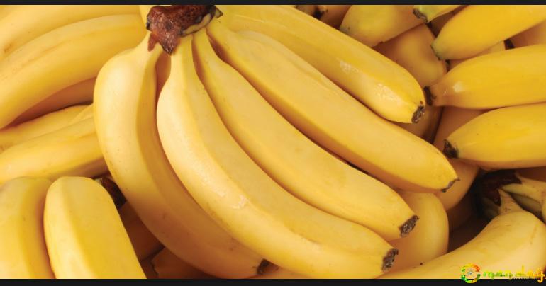Banana: The controversial fruit