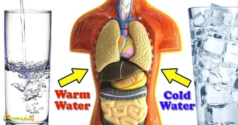 Cold Water Vs Warm Water: One Of Them Is Damaging To Your Health.