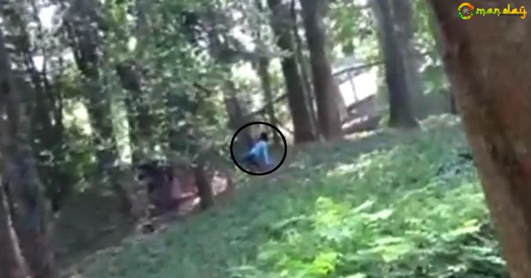 Man jumps into lion enclosure at Kerala zoo to &rsquo;have a chat&rsquo; with the lion
