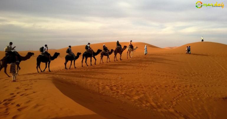 Check out Top 5 Biggest Deserts in the World