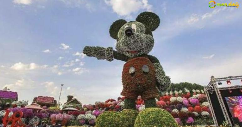 Dubai gets world&rsquo;s biggest Mickey Mouse floral structure