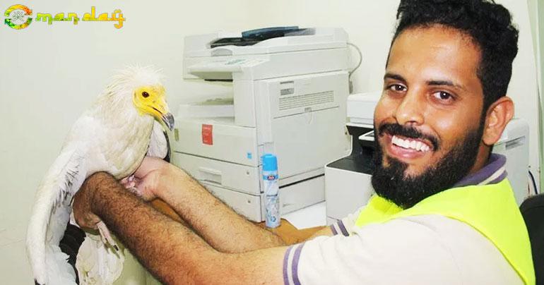 13 endangered Egyptian vultures tagged in Oman