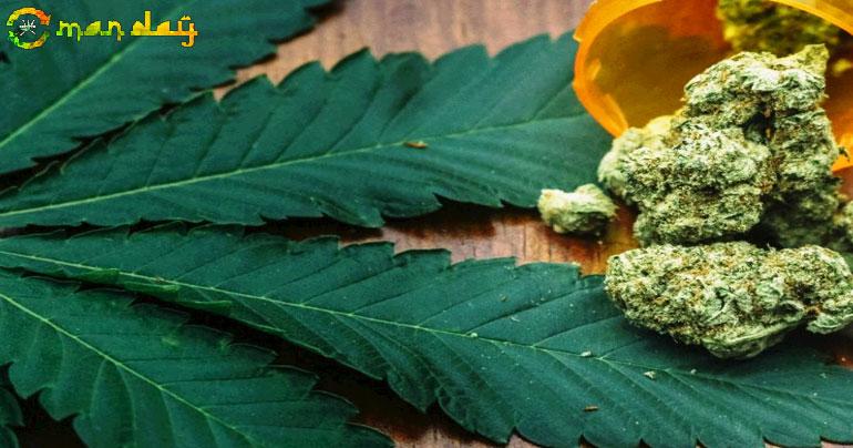 Light marijuana use may not increase risk of kidney disease