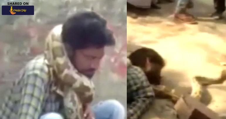 On cam: Python attacks snake charmer in UP’s Mau