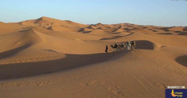 Sahara desert is 10 percent bigger than 100 years ago
