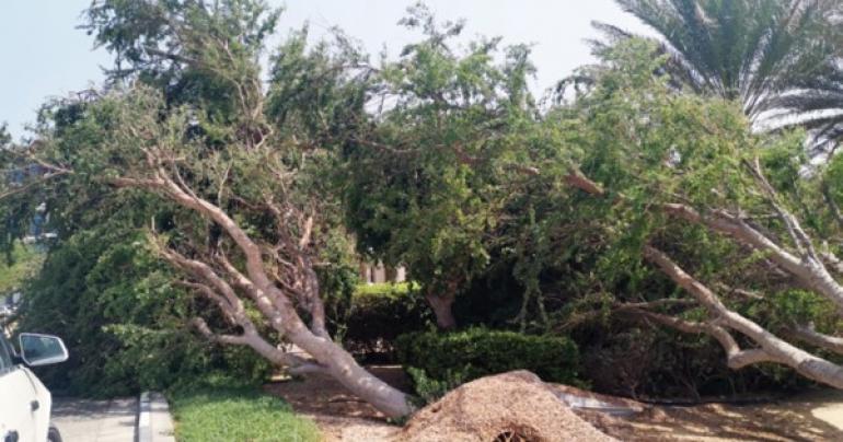 Oman Day, Oman news, Hikaa latest updates, Hikaa cyclone, latest Oman news, Duqm news, Duqm Hikaa, Muscat news, Oman local news