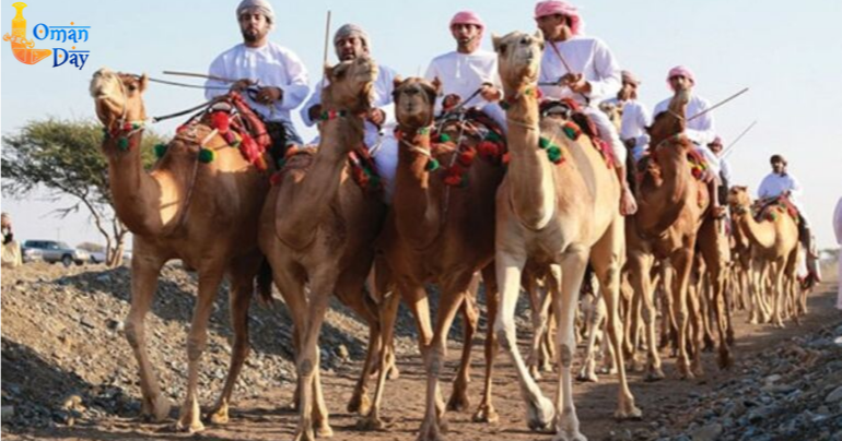 Travel Oman: Camel racing, an integral part of Oman’s tradition